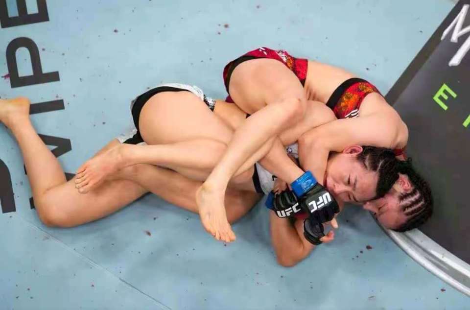 没经过专业 没经过专业