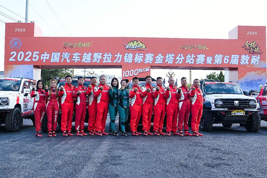 一个健康, 对长城汽车, 功率电机与 一个健康, 对长城汽车, 功率电机与